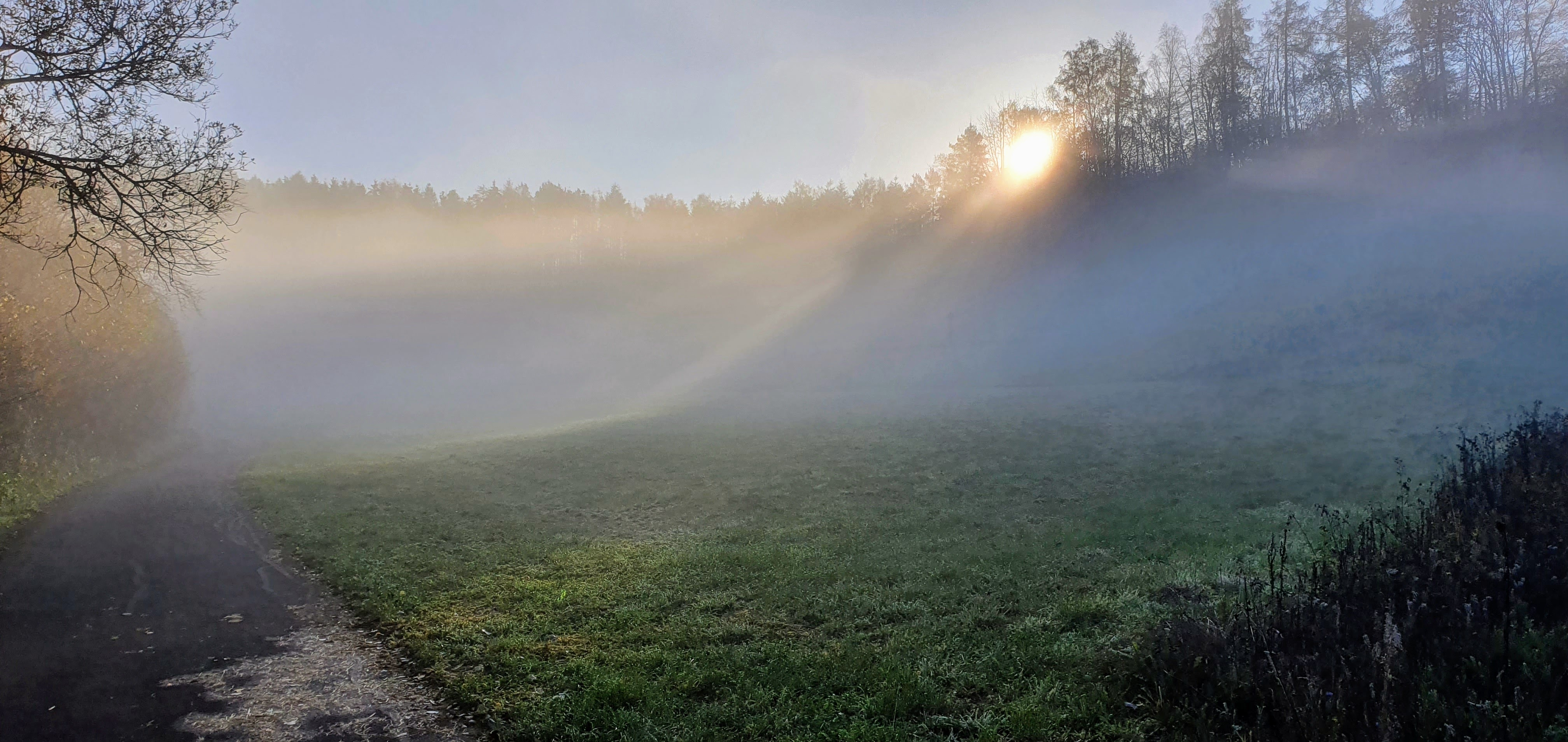 Sonne und Nebel